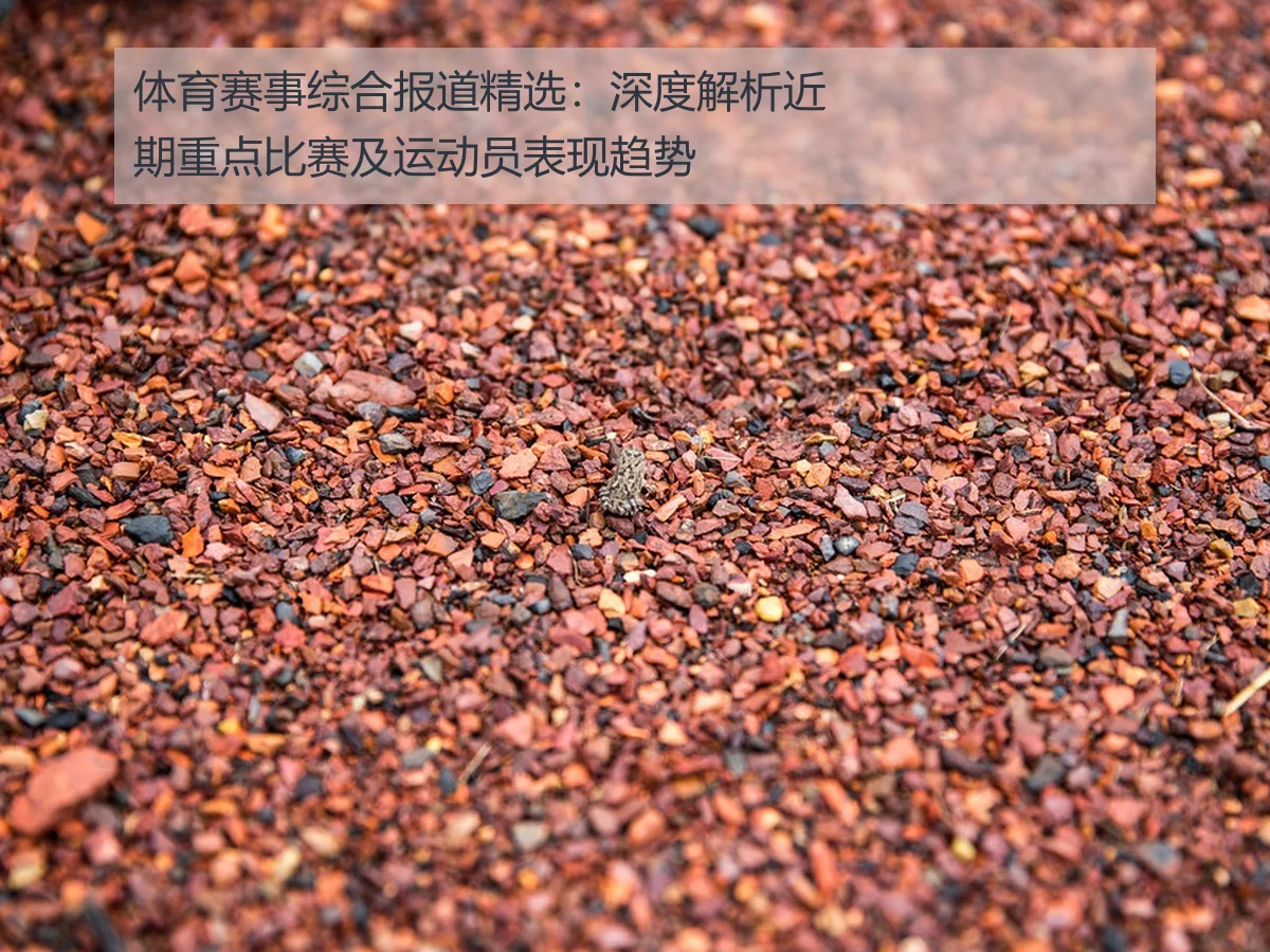 体育赛事综合报道精选：深度解析近期重点比赛及运动员表现趋势