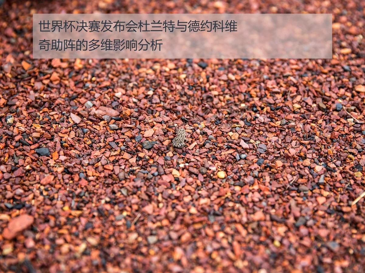 世界杯决赛发布会杜兰特与德约科维奇助阵的多维影响分析